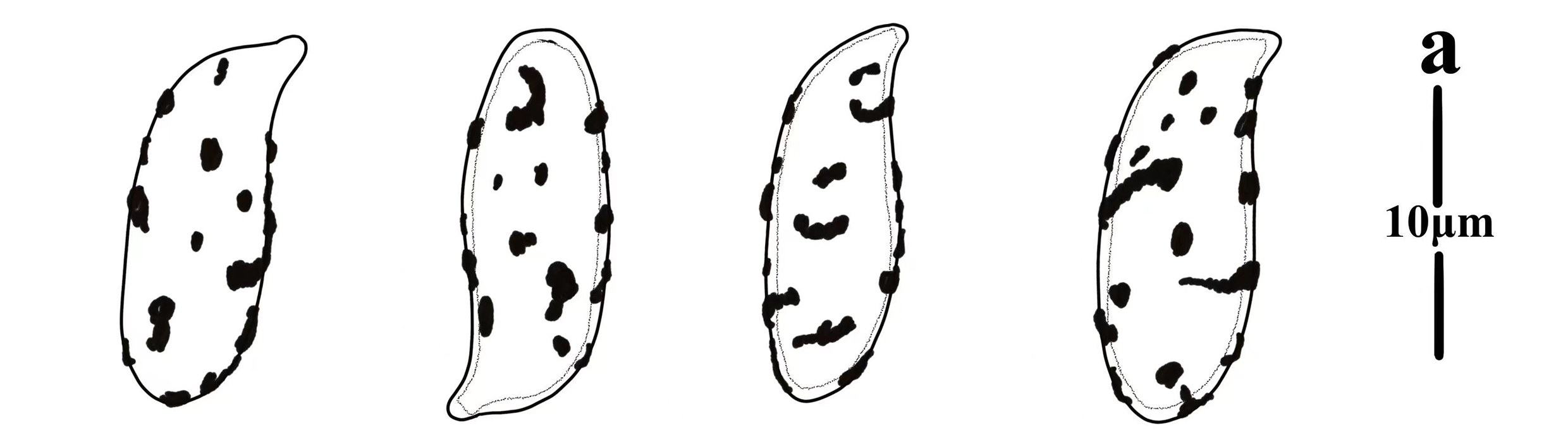 Figure 76